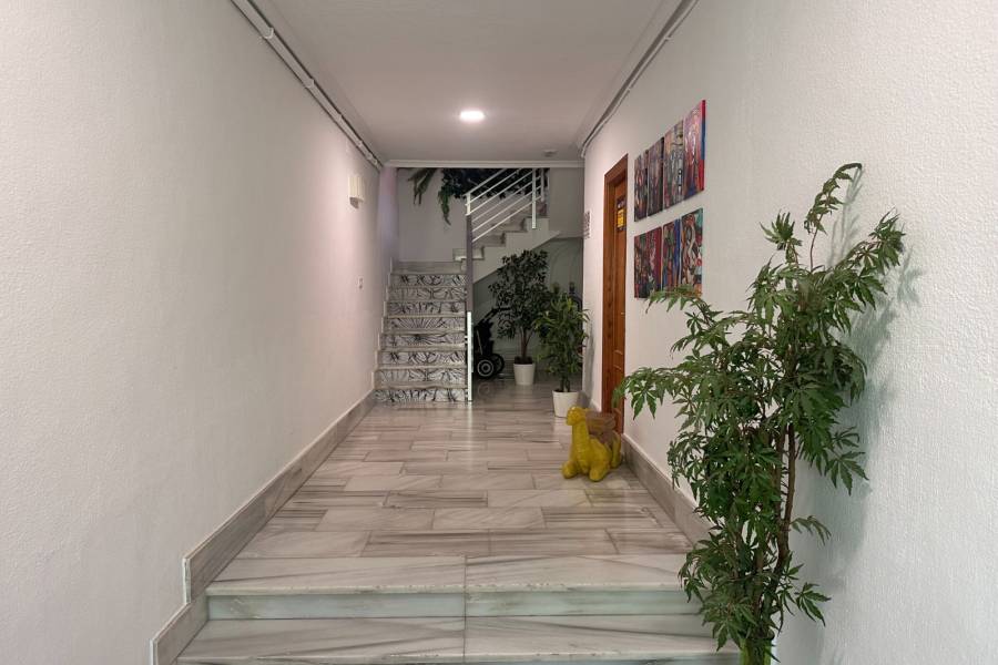 Reventa - Apartamento - Pilar de la Horadada - Pueblo