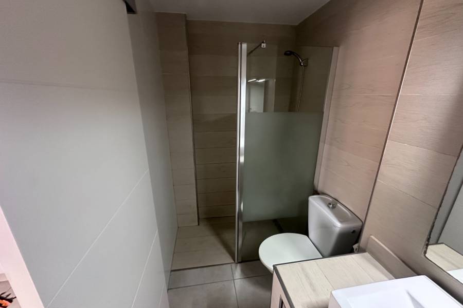 Reventa - Estudio - Torrevieja - Torrevieja*