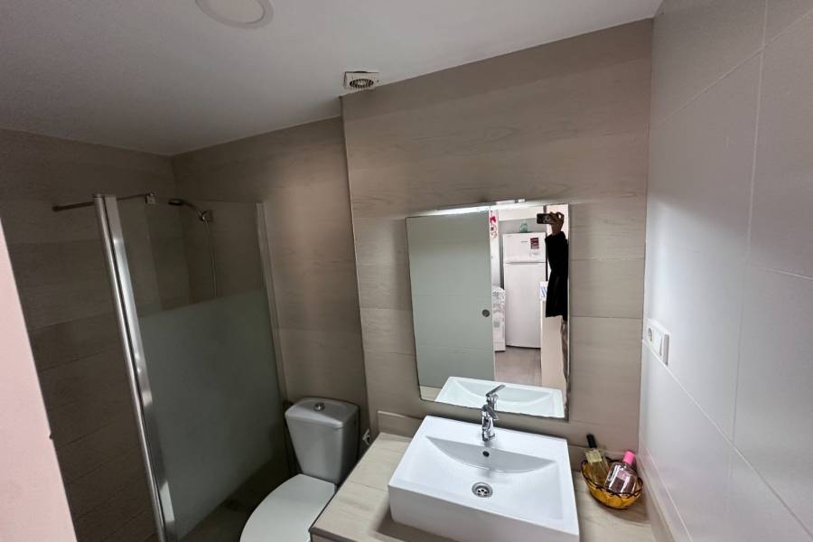 Reventa - Estudio - Torrevieja - Torrevieja*