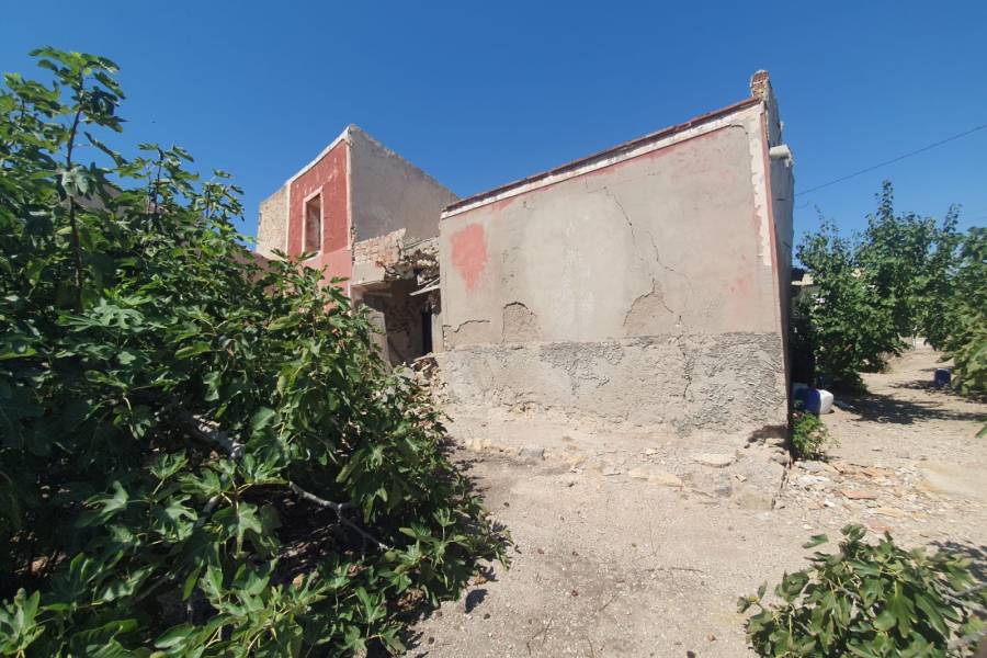 Occasion - Terrains - COX - Residencial San Fernando