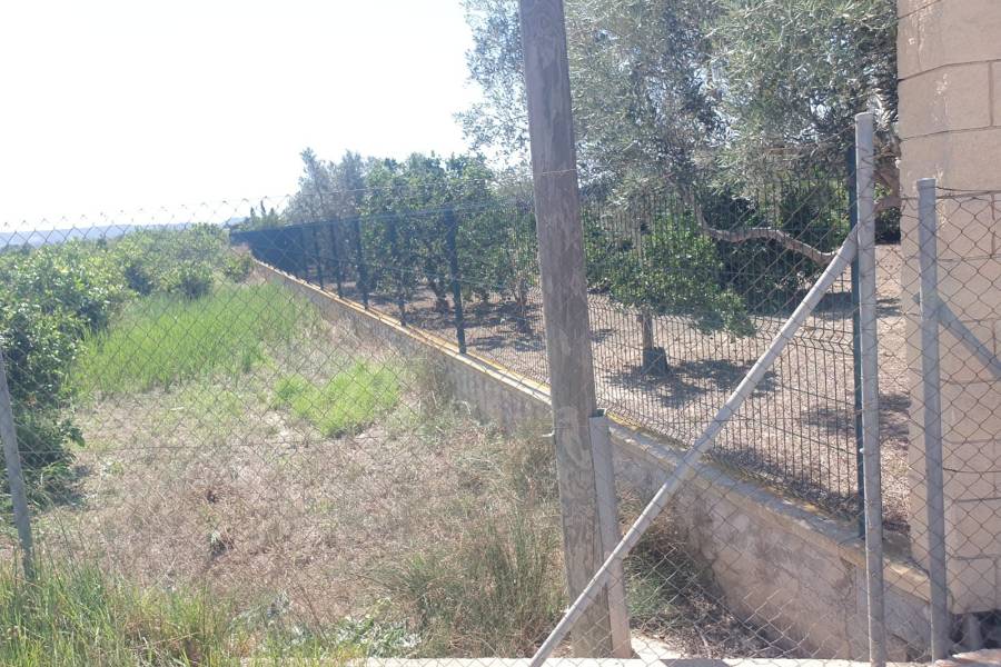 Occasion - Terrains - COX - Residencial San Fernando