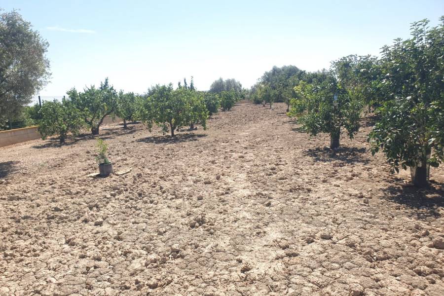 Occasion - Terrains - COX - Residencial San Fernando