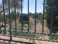 Occasion - Terrains - COX - Residencial San Fernando