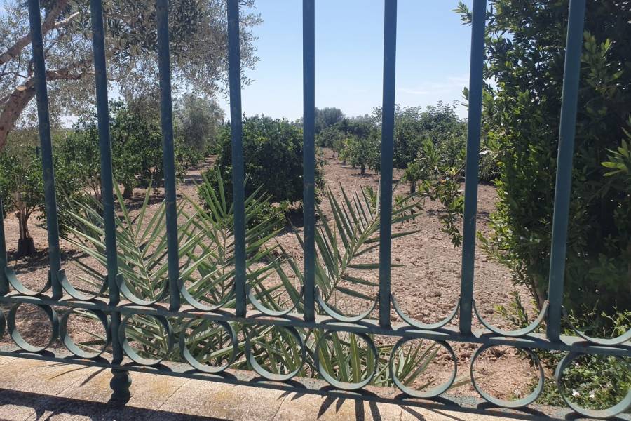 Occasion - Terrains - COX - Residencial San Fernando