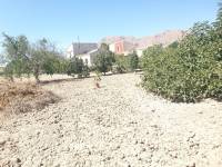 Occasion - Terrains - COX - Residencial San Fernando