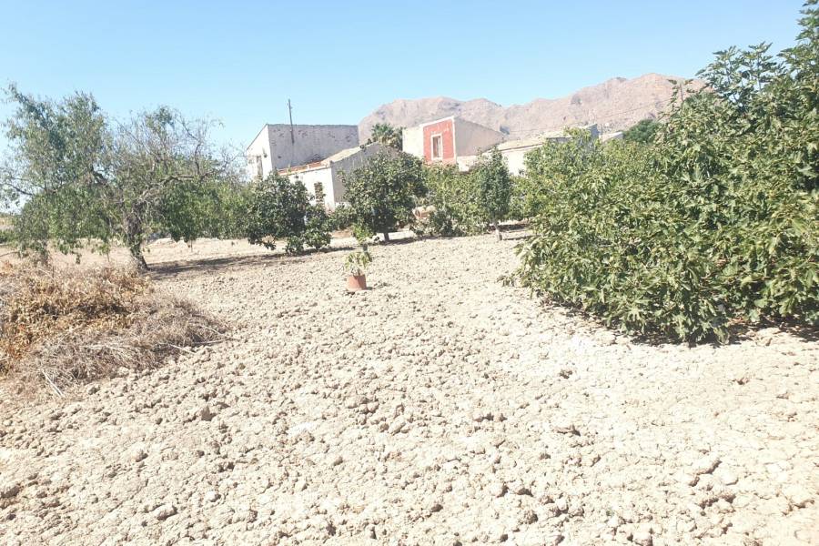 Occasion - Terrains - COX - Residencial San Fernando