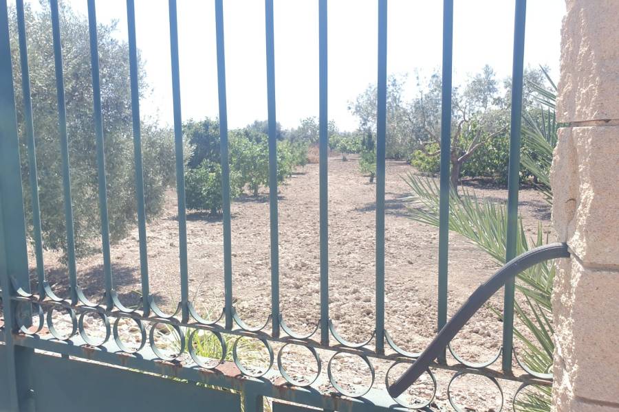 Occasion - Terrains - COX - Residencial San Fernando