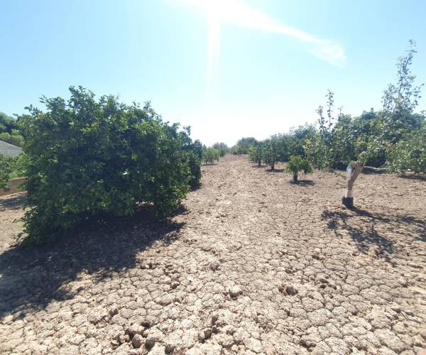 Terrains - Occasion - COX - Residencial San Fernando