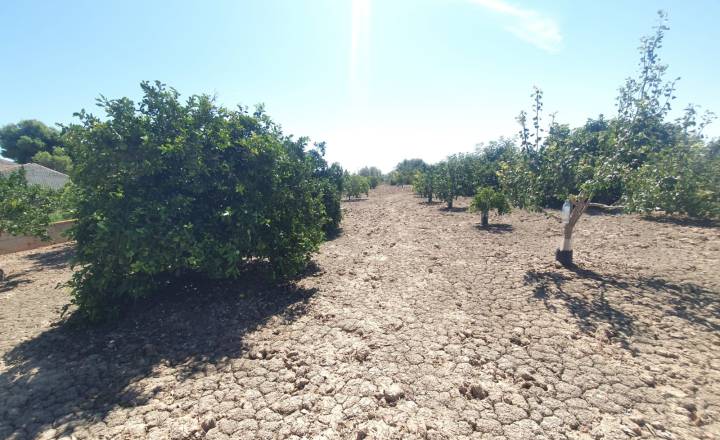 Terrenos - Reventa - COX - Residencial San Fernando