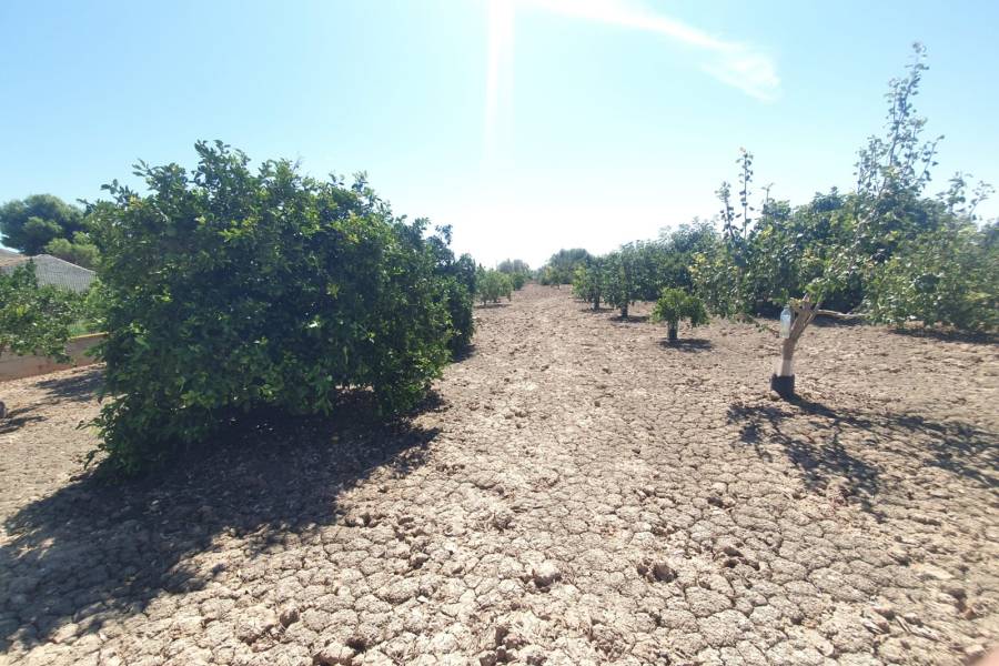 Occasion - Terrains - COX - Residencial San Fernando