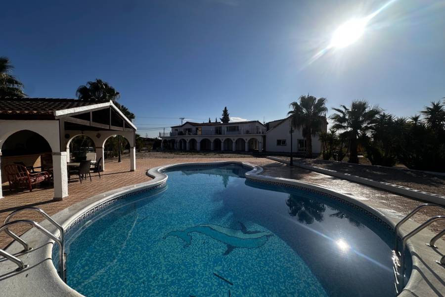 Occasion - Villa - Crevillente - San Cayetano