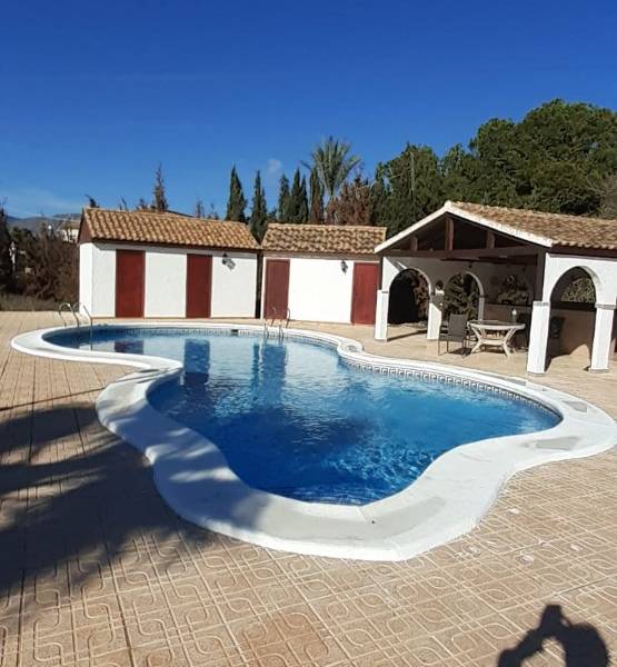 Occasion - Villa - Crevillente - San Cayetano