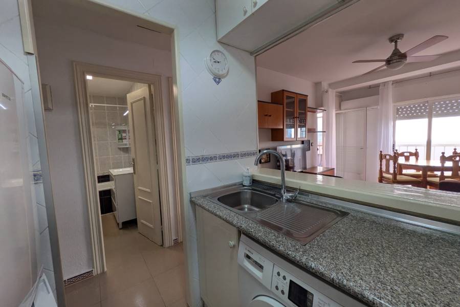 Alquiler - Apartamento - La Mata - Puerto Romano/PLAYA