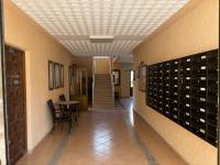 Reventa - Estudio - La Mata - Pueblo/ PLAYA