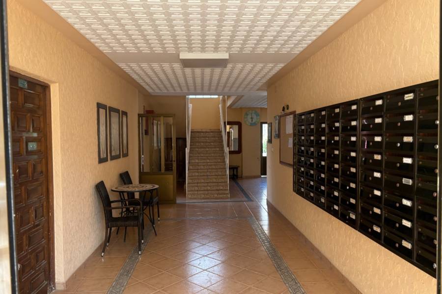 Reventa - Estudio - La Mata - Pueblo/ PLAYA