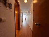 Alquiler - Estudio - La Mata - Pueblo/ PLAYA