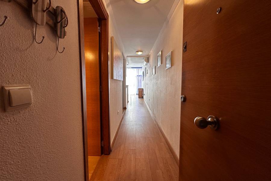 Alquiler - Estudio - La Mata - Pueblo/ PLAYA