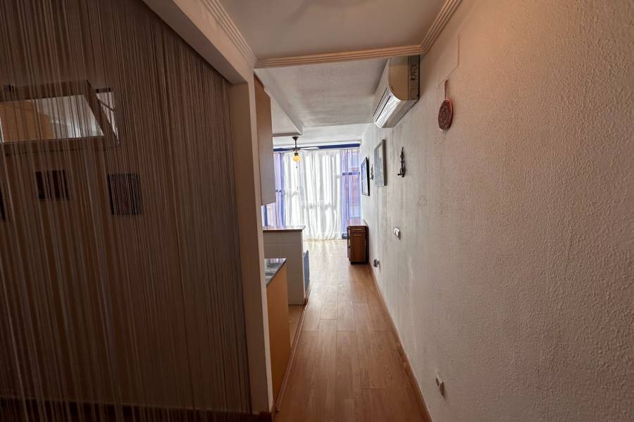 Alquiler - Estudio - La Mata - Pueblo/ PLAYA