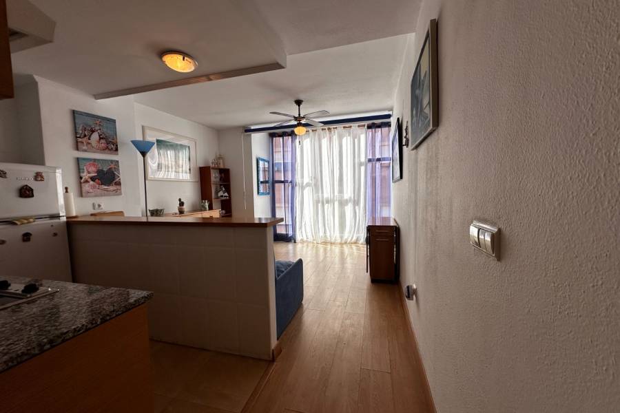 Alquiler - Estudio - La Mata - Pueblo/ PLAYA