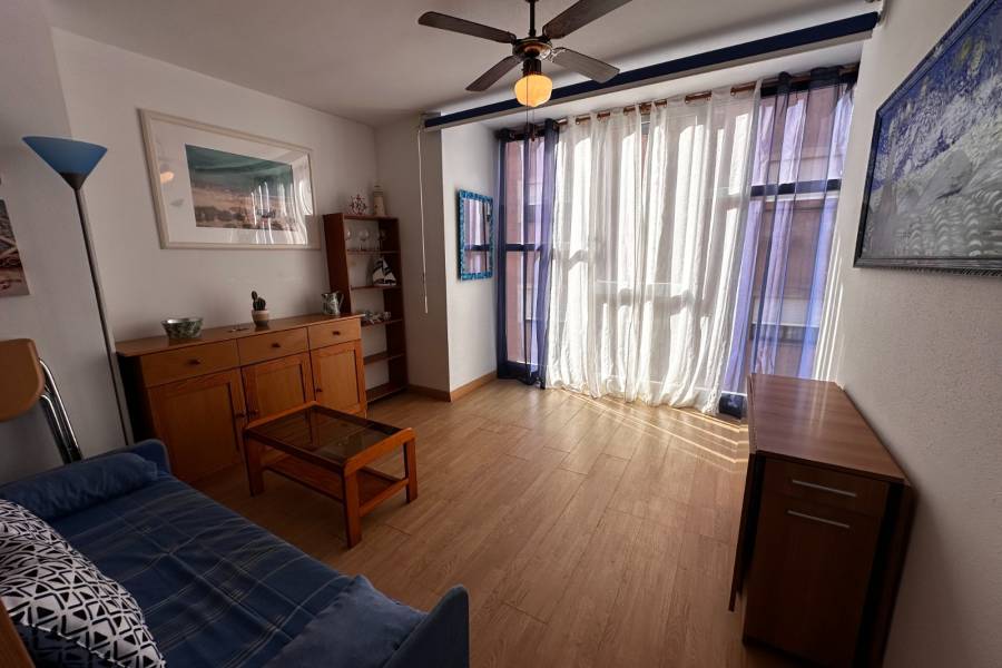 Alquiler - Estudio - La Mata - Pueblo/ PLAYA