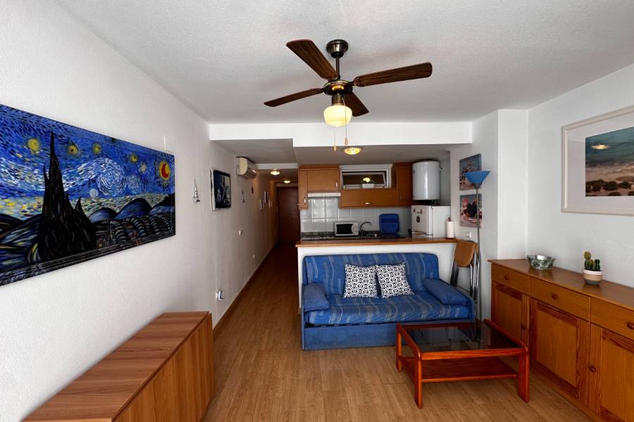 Alquiler - Estudio - La Mata - Pueblo/ PLAYA