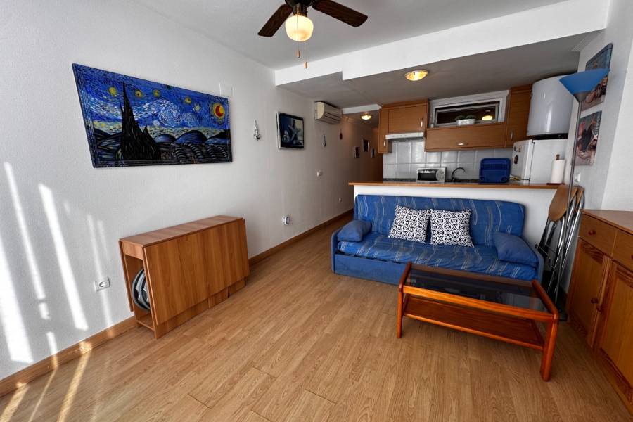 Alquiler - Estudio - La Mata - Pueblo/ PLAYA