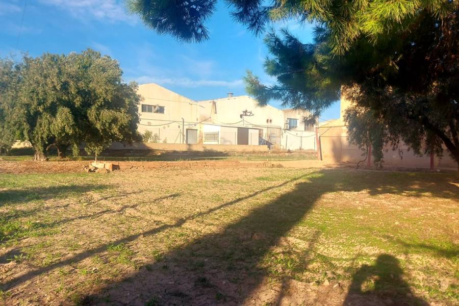 Återförsäljning - Hus på landet - Elche - Matola