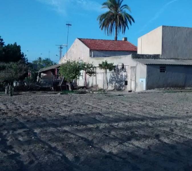 Återförsäljning - Hus på landet - Elche - Matola