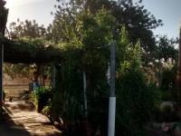 Återförsäljning - Hus på landet - Elche - Matola