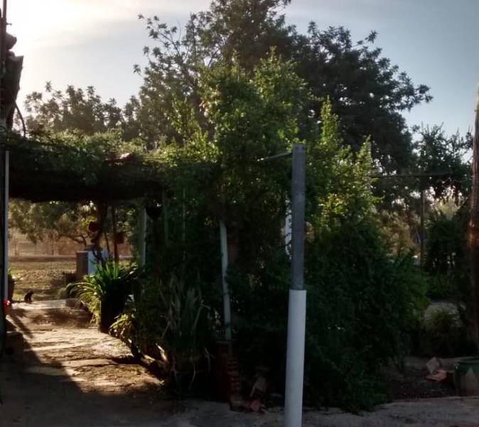 Återförsäljning - Hus på landet - Elche - Matola