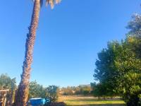 Återförsäljning - Hus på landet - Elche - Matola