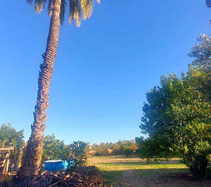 Återförsäljning - Hus på landet - Elche - Matola