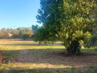 Återförsäljning - Hus på landet - Elche - Matola