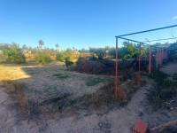 Återförsäljning - Hus på landet - Elche - Matola