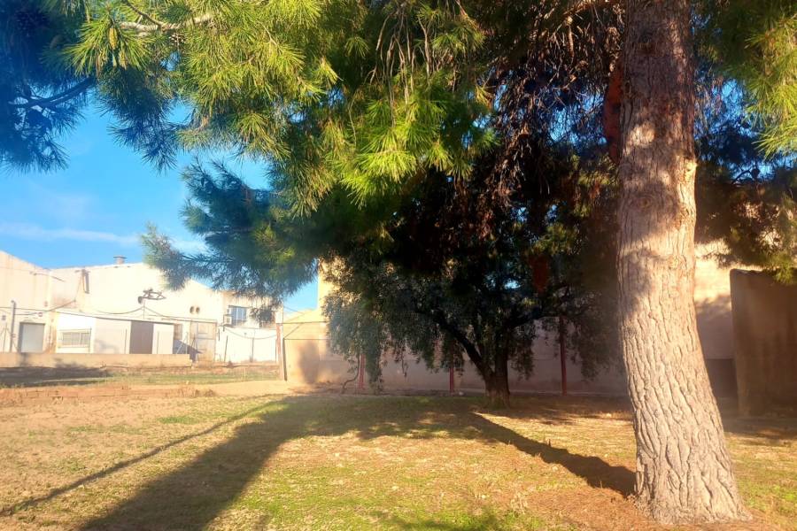 Återförsäljning - Hus på landet - Elche - Matola