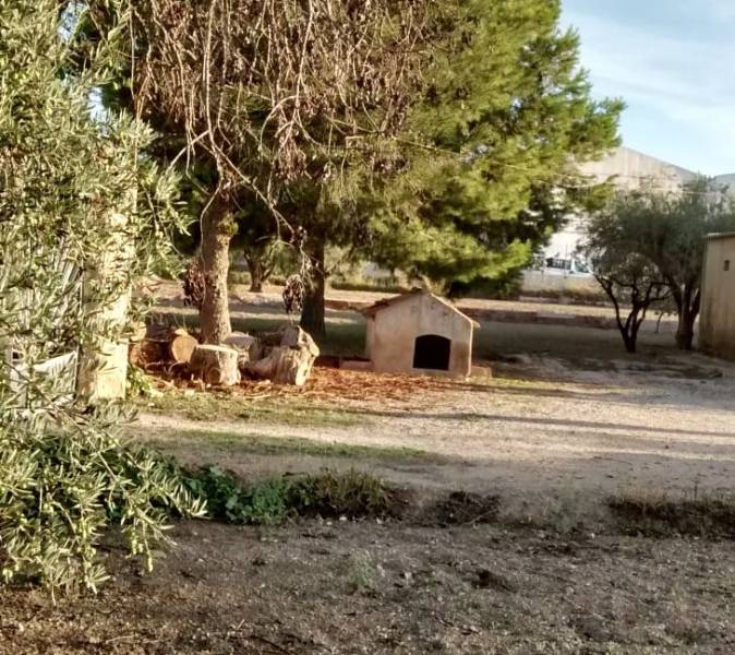 Återförsäljning - Hus på landet - Elche - Matola