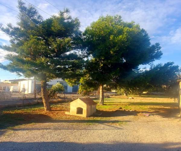 Casas de Campo - Reventa - Elche - Matola 