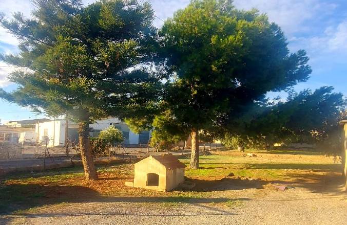 Hus på landet - Återförsäljning - Elche - Matola