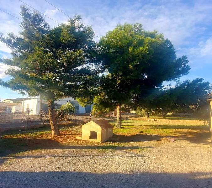 Återförsäljning - Hus på landet - Elche - Matola