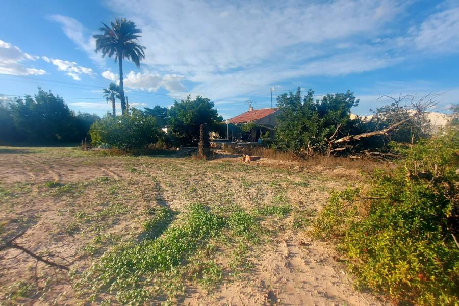 Återförsäljning - Hus på landet - Elche - Matola