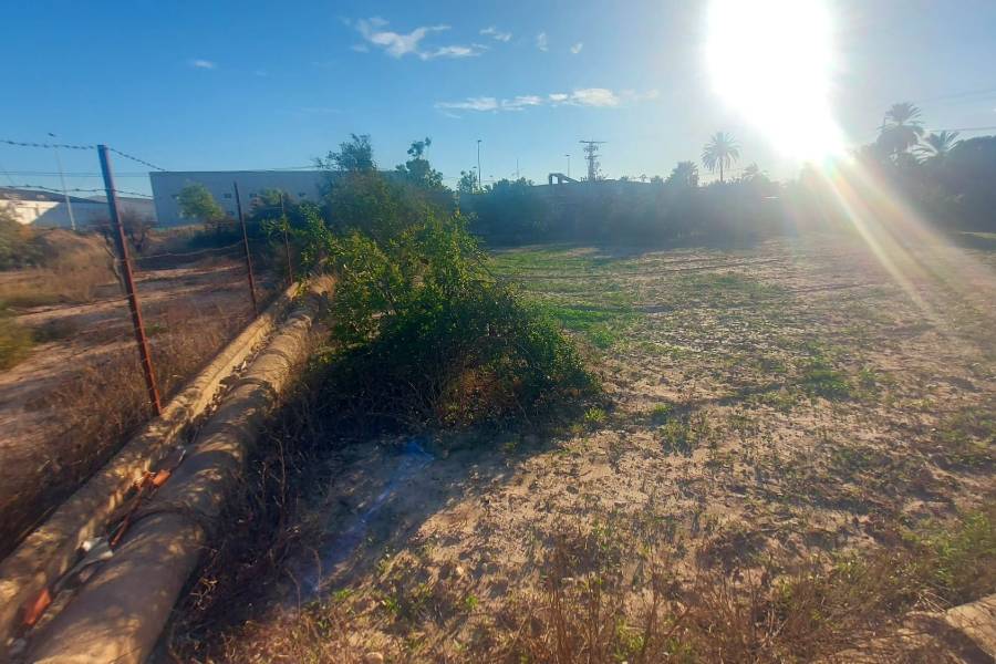 Återförsäljning - Hus på landet - Elche - Matola