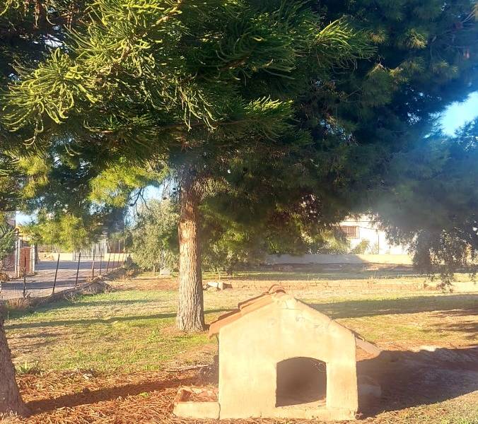 Återförsäljning - Hus på landet - Elche - Matola