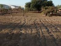 Återförsäljning - Hus på landet - Elche - Matola