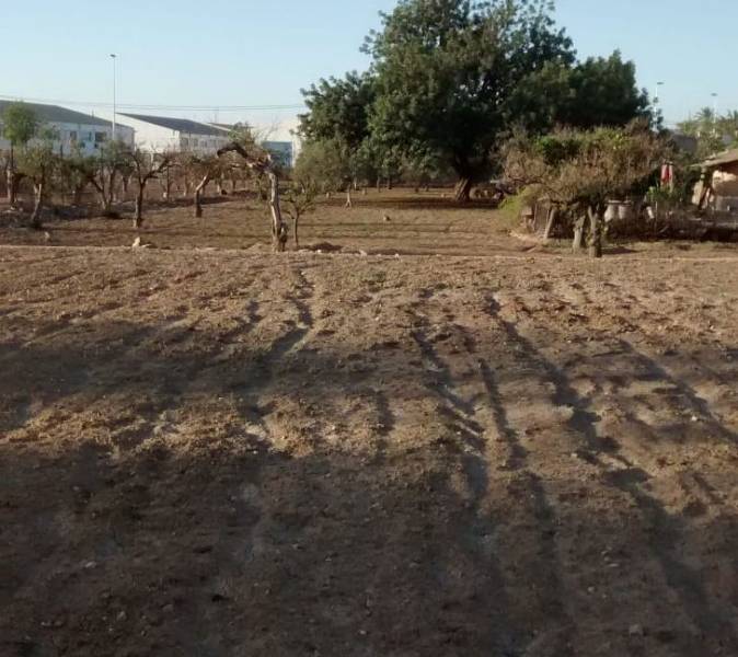 Återförsäljning - Hus på landet - Elche - Matola