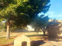 Återförsäljning - Hus på landet - Elche - Matola