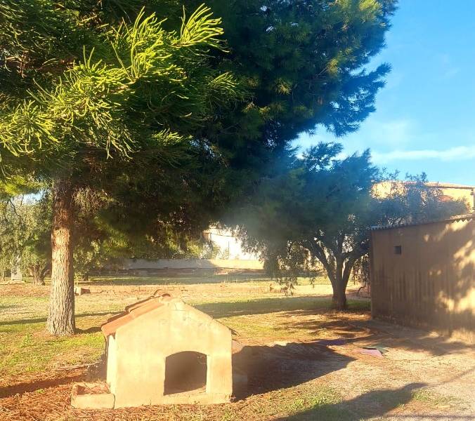 Återförsäljning - Hus på landet - Elche - Matola