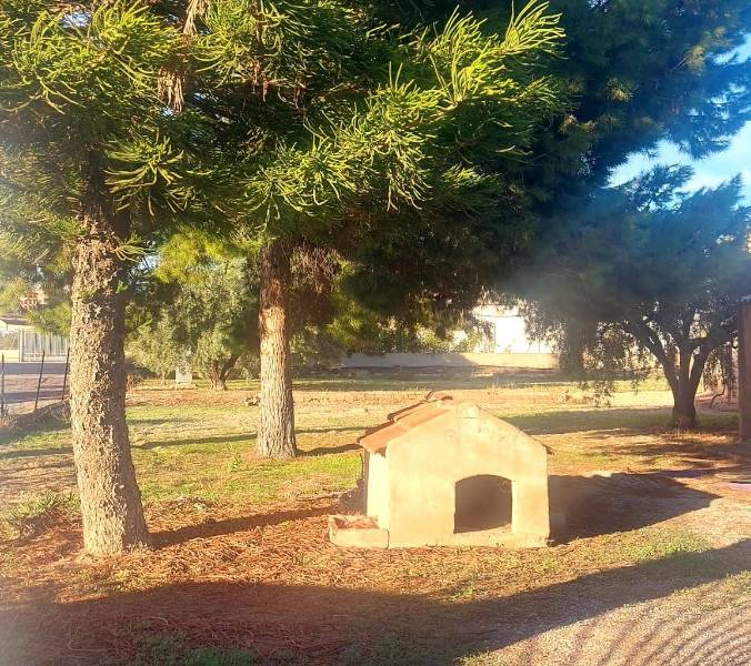 Återförsäljning - Hus på landet - Elche - Matola