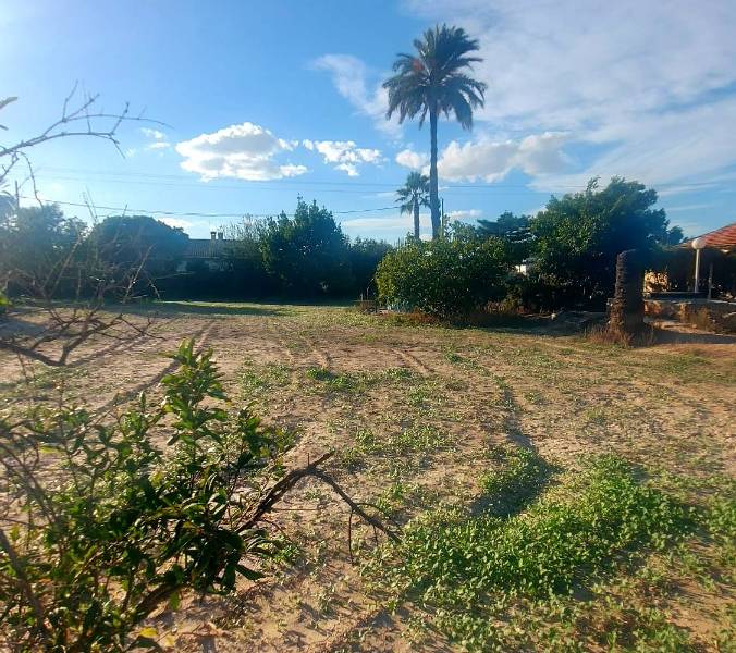 Återförsäljning - Hus på landet - Elche - Matola