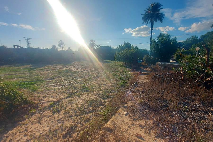 Återförsäljning - Hus på landet - Elche - Matola