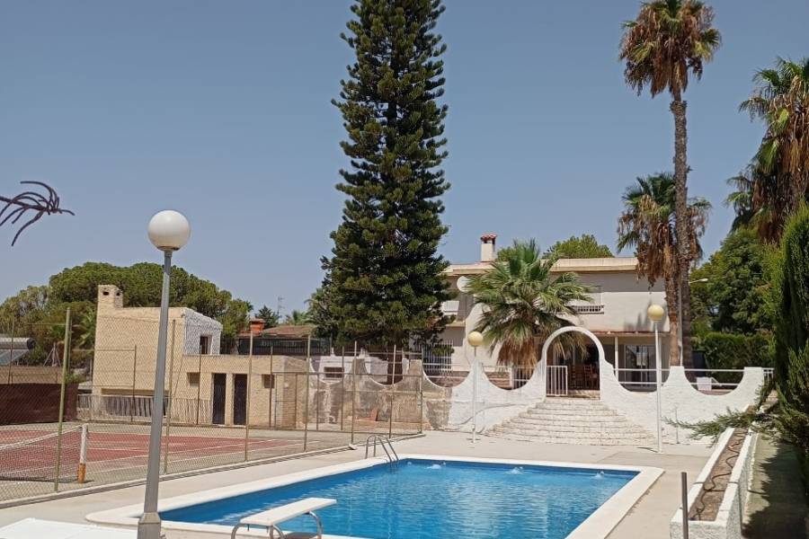 Reventa - Chalet - Elche - Peña las Aguilas